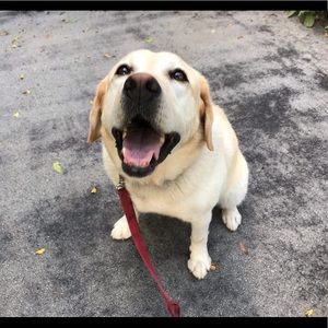 Meet your Posher, Reed